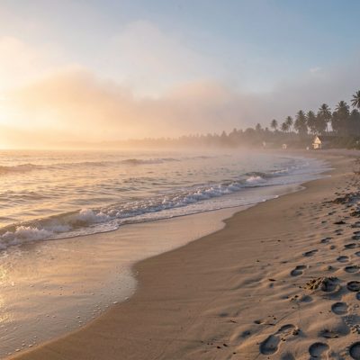 a beach at dawn with mist over the water