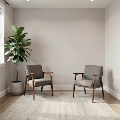 a quiet consulting room with a plant and two chairs