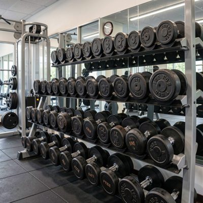 gym equipment display showing free weights and plates
