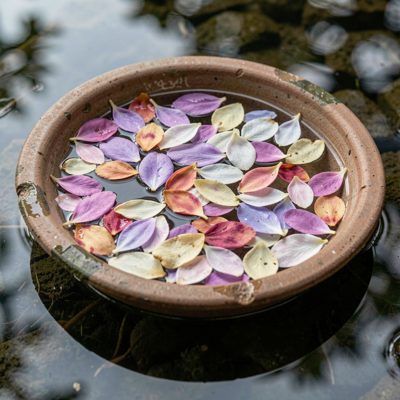 a bowl of petals floating in water